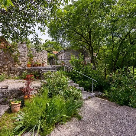 Menta 2 2445 فيلة *