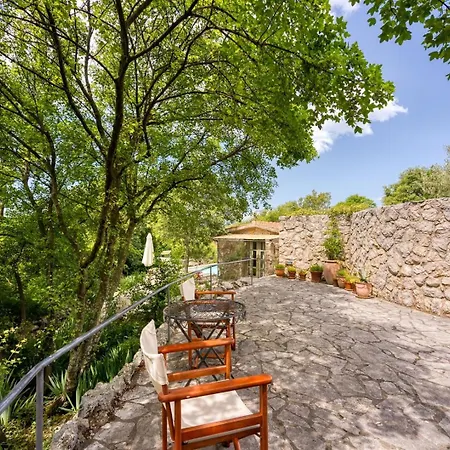 Menta 2 2445 * مالينسكا